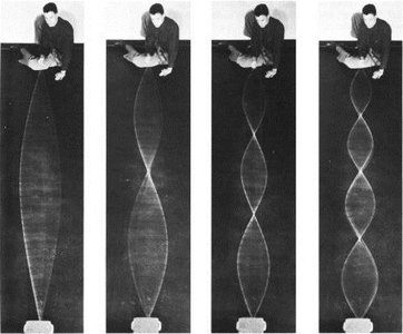 Photographs of standing waves on a string showing nodes and antinodes