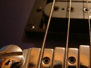 Close-up of guitar string
