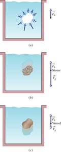 Illustration of buoyant force for different objects in fluid