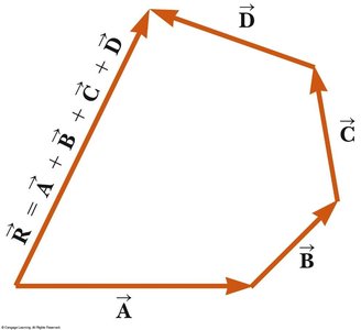 Graphically adding many vectors.
