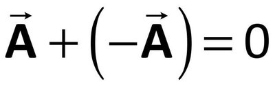 Negative vector properties.