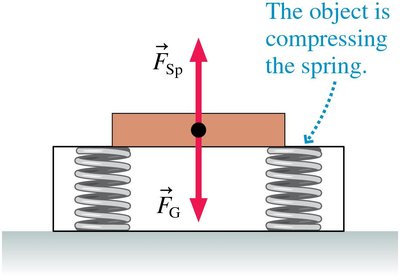 Spring scale measuring weight