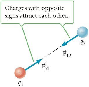 Vector nature of electric forces: attraction