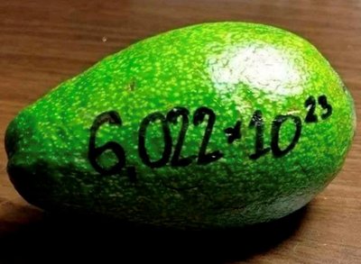 Avogadro's Number visual pun (avocado)
