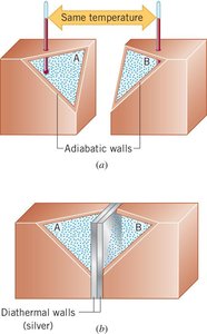 Adiabatic and diathermal walls