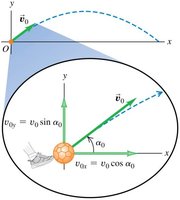 Initial velocity components of a projectile