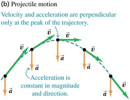 Projectile motion: velocity and acceleration vectors