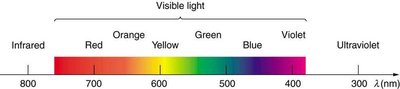 Visible light spectrum