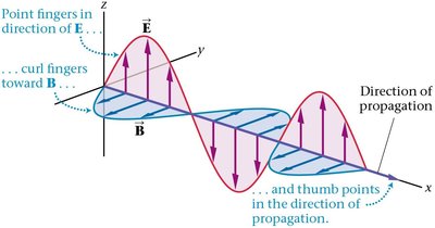 Orientation of E and B fields in EM wave