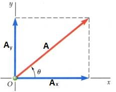 Vector components in x and y directions