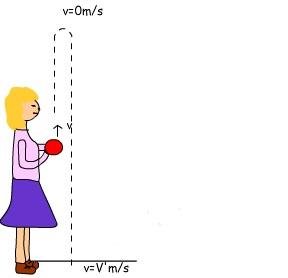 Free fall motion example