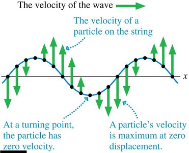 Velocity and acceleration of particles in a wave