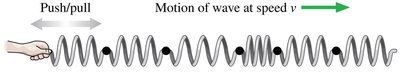 Longitudinal wave on a spring
