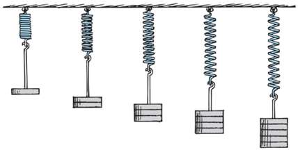 Springs stretched by different weights illustrating Hooke's Law
