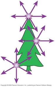 Reflection, refraction, scattering, and absorption
