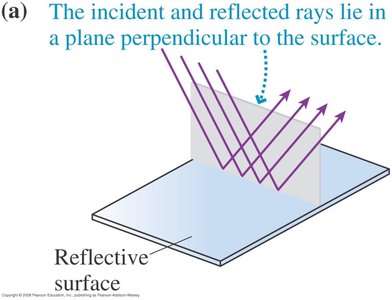 Law of reflection: incident and reflected rays