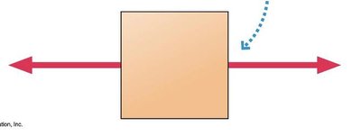 Static equilibrium with forces and torques