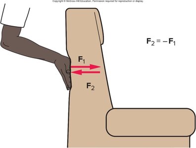 Illustration of Newton's Third Law with action and reaction forces