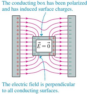 Conducting box with induced surface charges and electric field lines