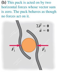 Puck in equilibrium and under force