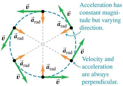 Velocity and acceleration vectors in uniform circular motion