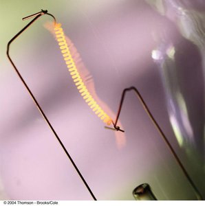 Glowing tungsten filament as an example of blackbody radiation