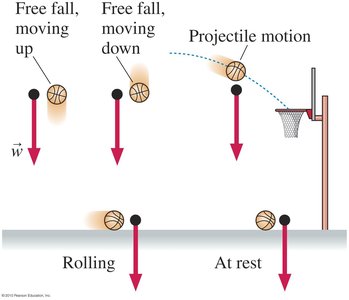 Gravitational force acting on a ball in different scenarios