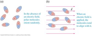 Polar molecules in electric field