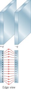 Electric field lines between parallel plates