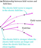 Relationship between field vectors and field lines
