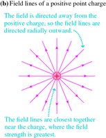 Field lines of a positive point charge