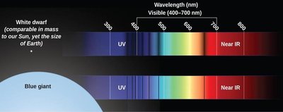 Brown dwarfs and planets comparison