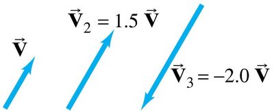 Multiplication of a vector by a scalar