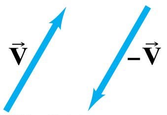 A vector and its negative
