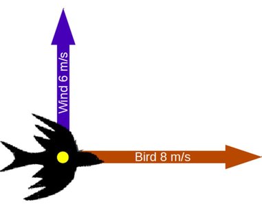 Bird flying with wind and velocity vectors