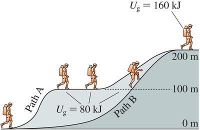 Gravitational potential energy depends only on change in height, not path taken.