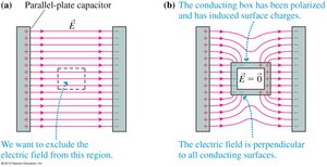 Faraday cage excluding electric field