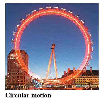 Circular motion: Ferris wheel at night