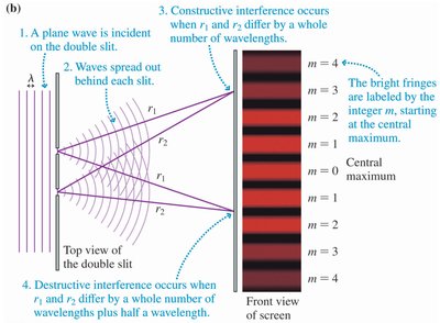 Young's double-slit experiment and interference pattern
