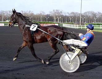 Horse pulling a cart