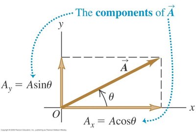 Component vectors of A