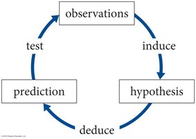 Diagram of the scientific method cycle