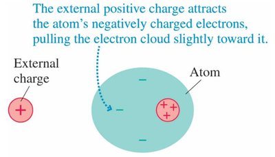 Charge polarization in an atom (induced dipole)