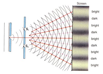 Double slit experiment diagram showing interference pattern on screen