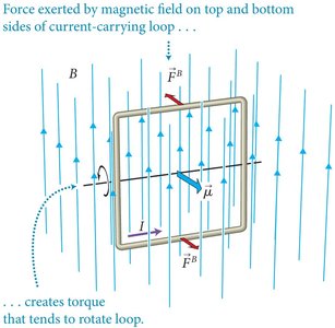 Torque on a current loop in a magnetic field