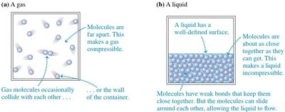 Molecular models of gases and liquids