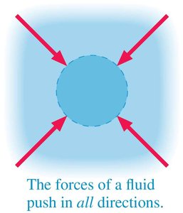 Pressure forces in a fluid push with equal strength in all directions