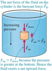 The buoyant force arises because the fluid pressure at the bottom is greater than at the top