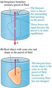 The buoyant force on an object is the same as on an equal volume of fluid