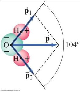 Equipotential surfaces and electric field lines
